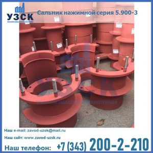 Сальники нажимные серия 5.900-3 в Раменском
